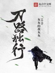 无人愁我独行路