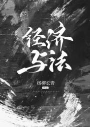 经济与法回放2010