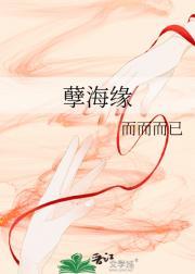 孽海缘叶童赵雅芝全集