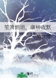 笙箫已默是什么意思