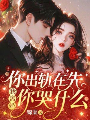我离婚你哭什么男主是谁