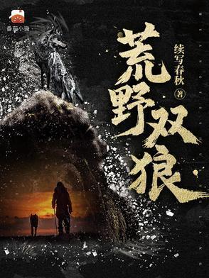 荒野双狼第一部